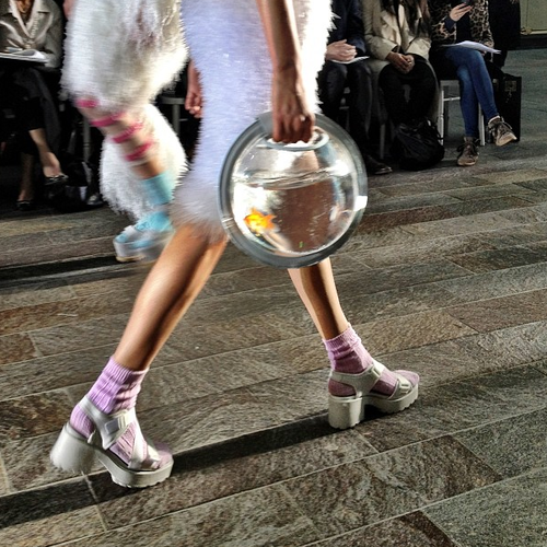 tumblr_mnjxkivSNO1qf2rzao2_500